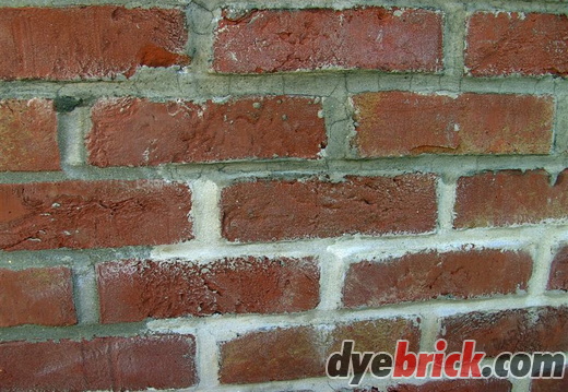 Applying Dyebrick 2